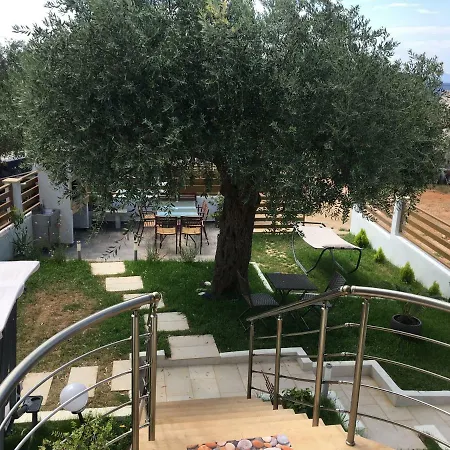 Happy Family فيلة